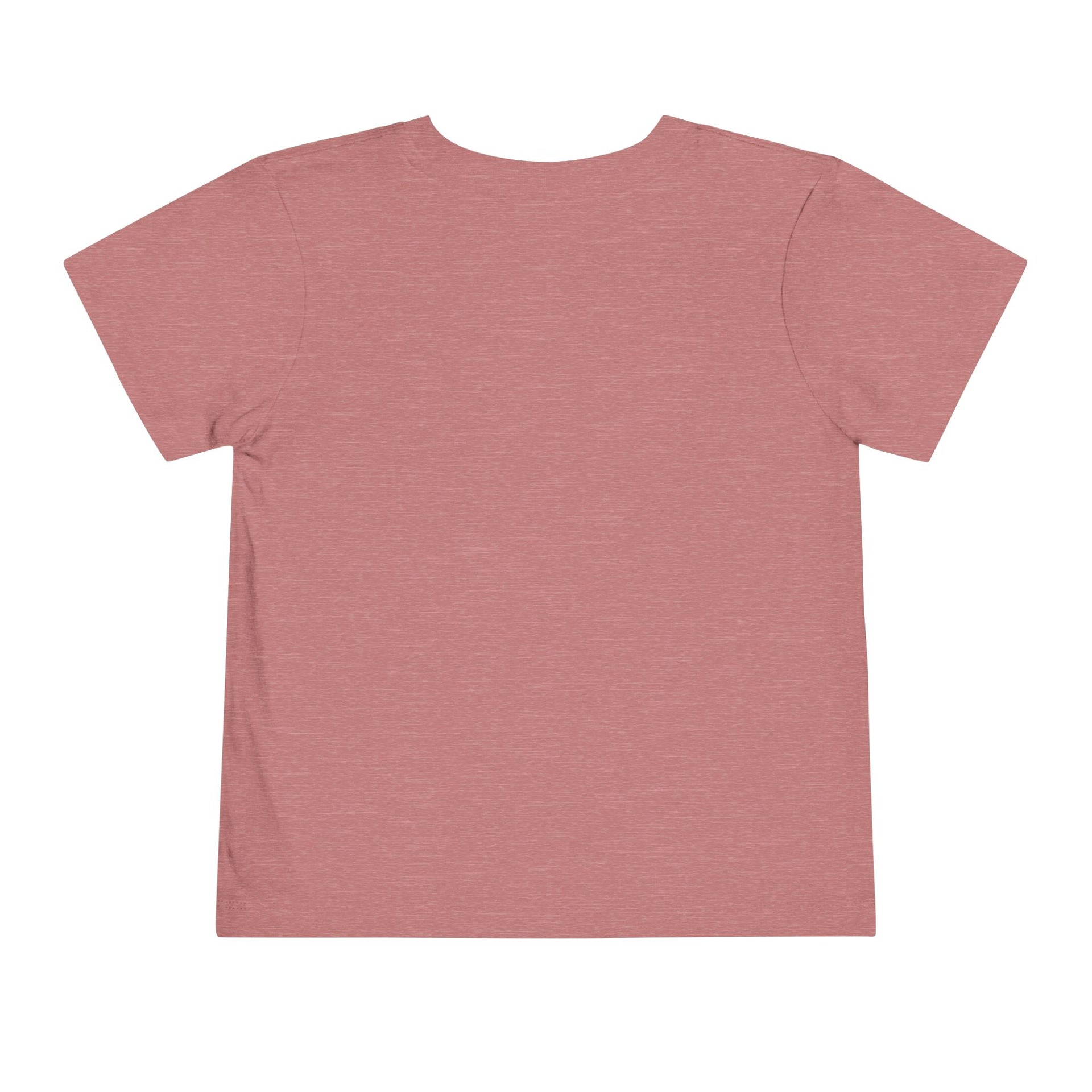 BB4LIFE Toddler Basketball Tee