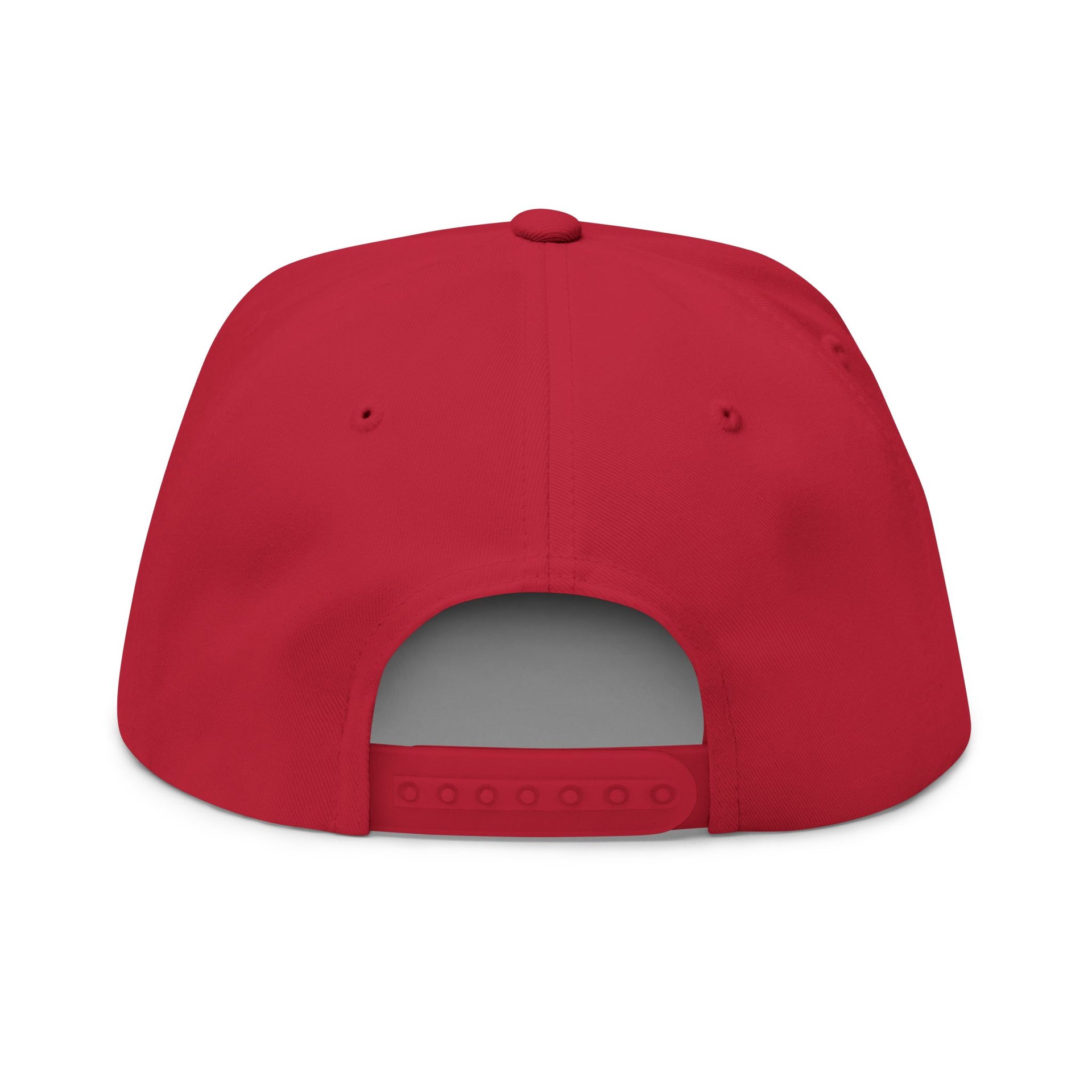 BB4LIFE Embroidered Snapback Hat