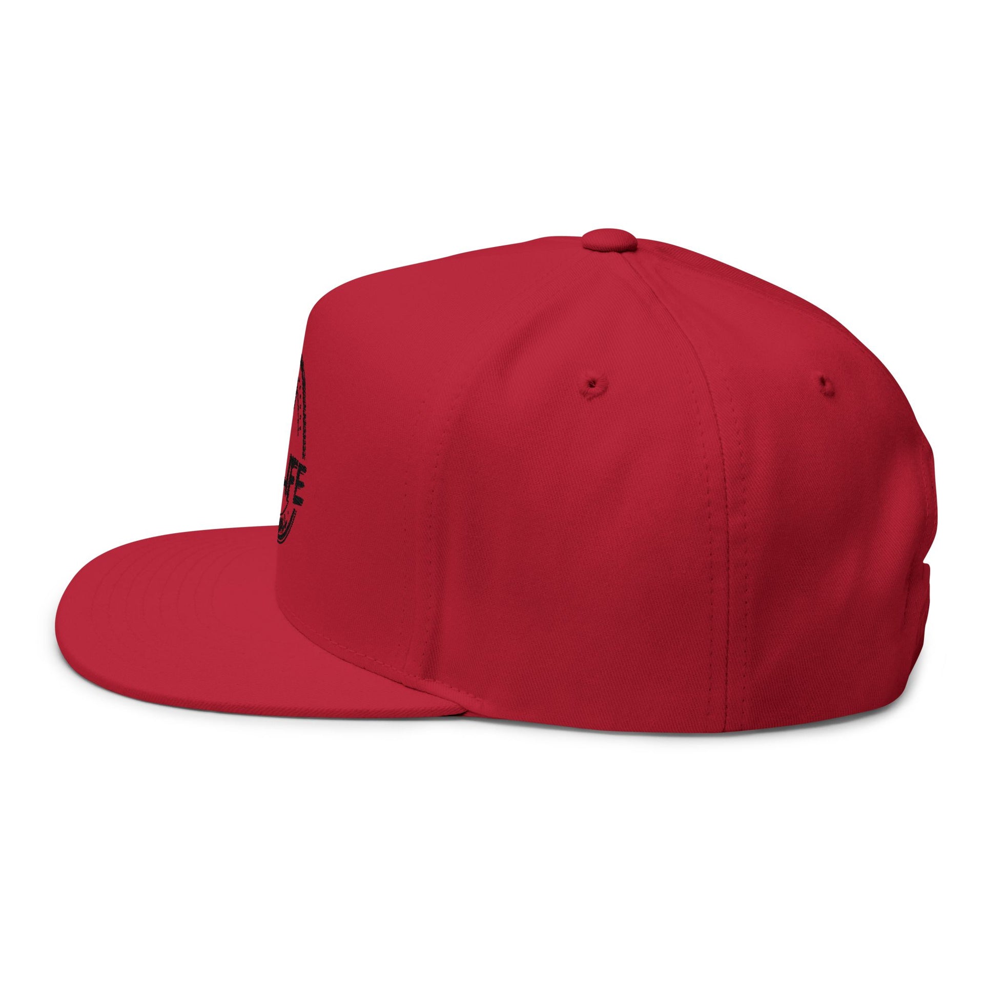 BB4LIFE Embroidered Snapback Hat