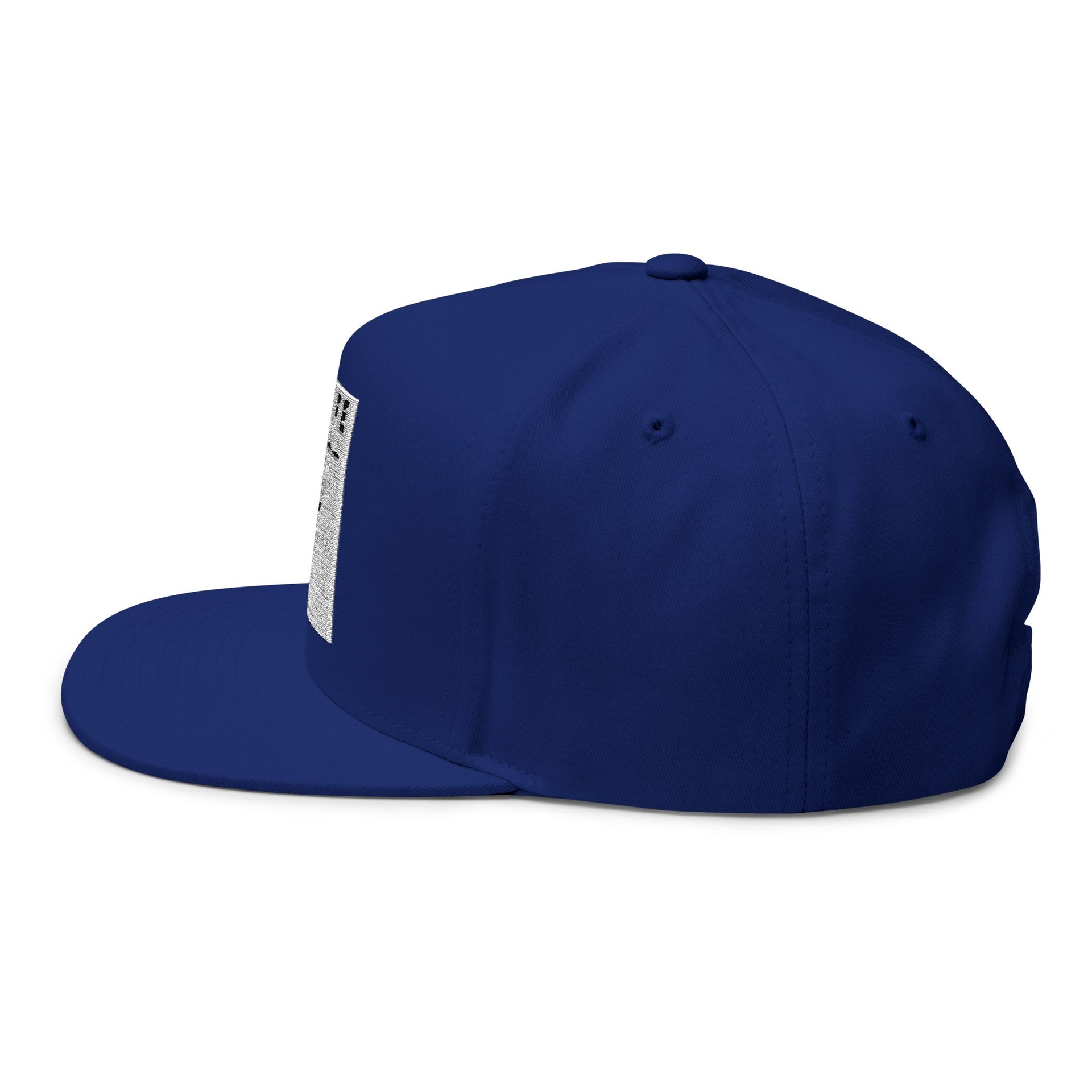 BB4Life Basketball Flat Bill Cap – Embroidered Hoop Logo Snapback
