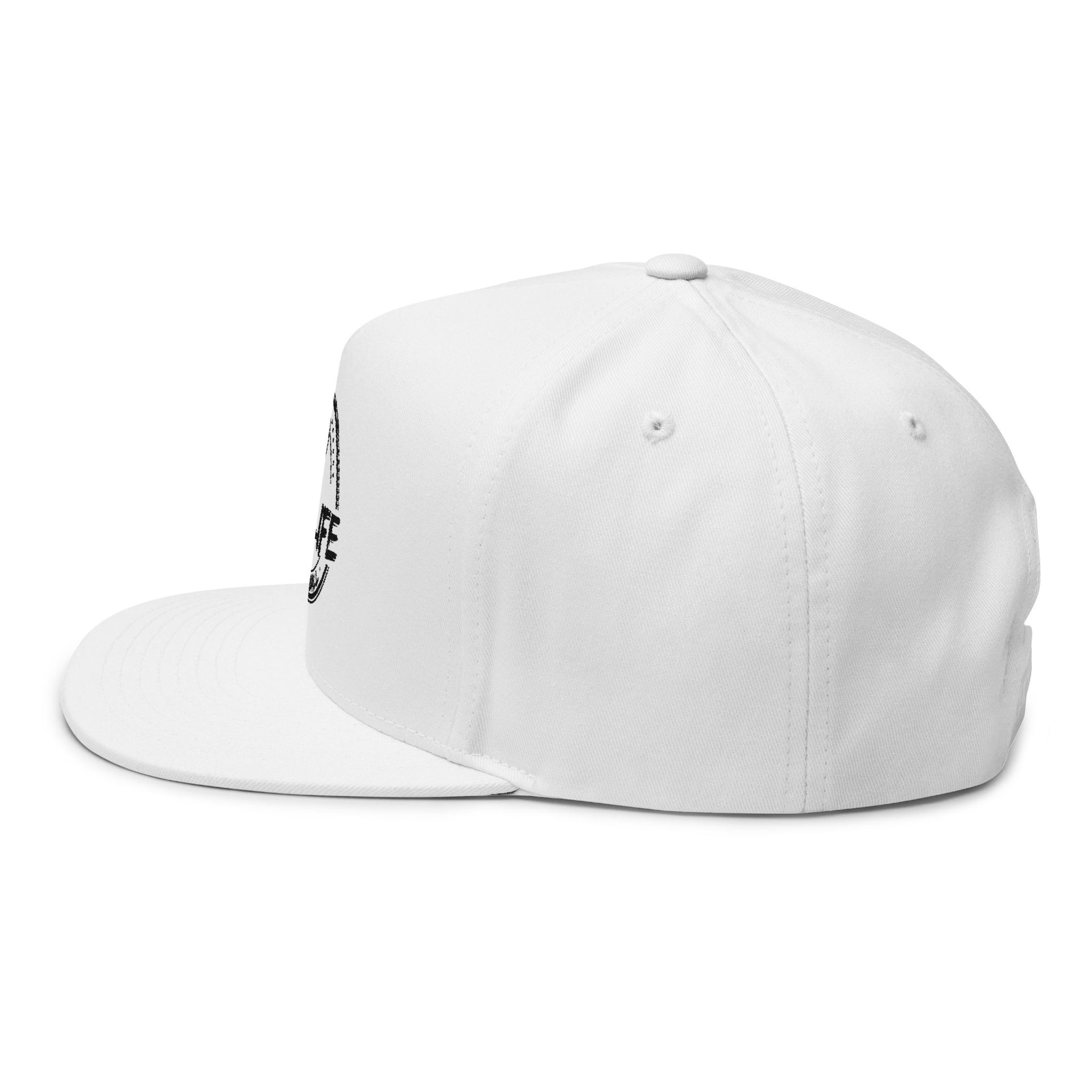 BB4LIFE Embroidered Snapback Hat