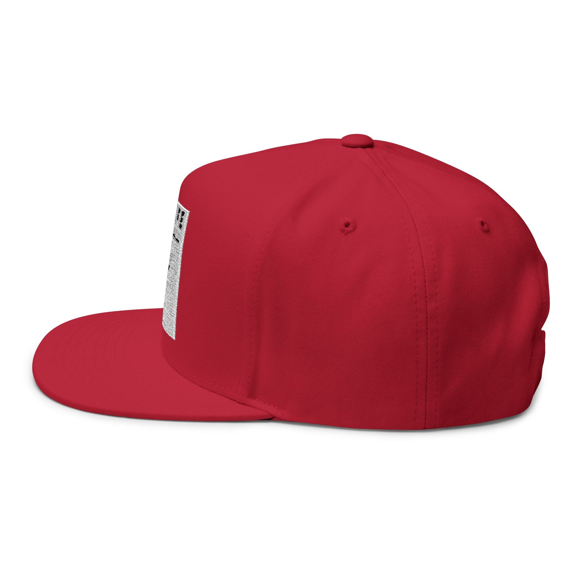 BB4Life Basketball Flat Bill Cap – Embroidered Hoop Logo Snapback